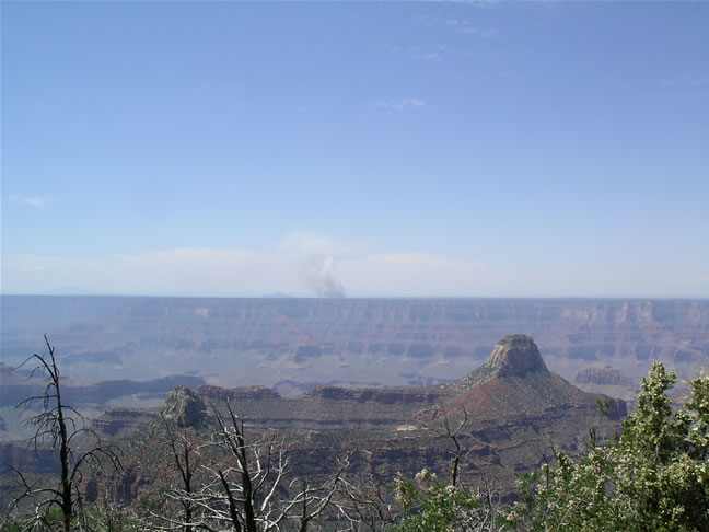 images/Hiking North Rim- Widforss Trail (19).jpg